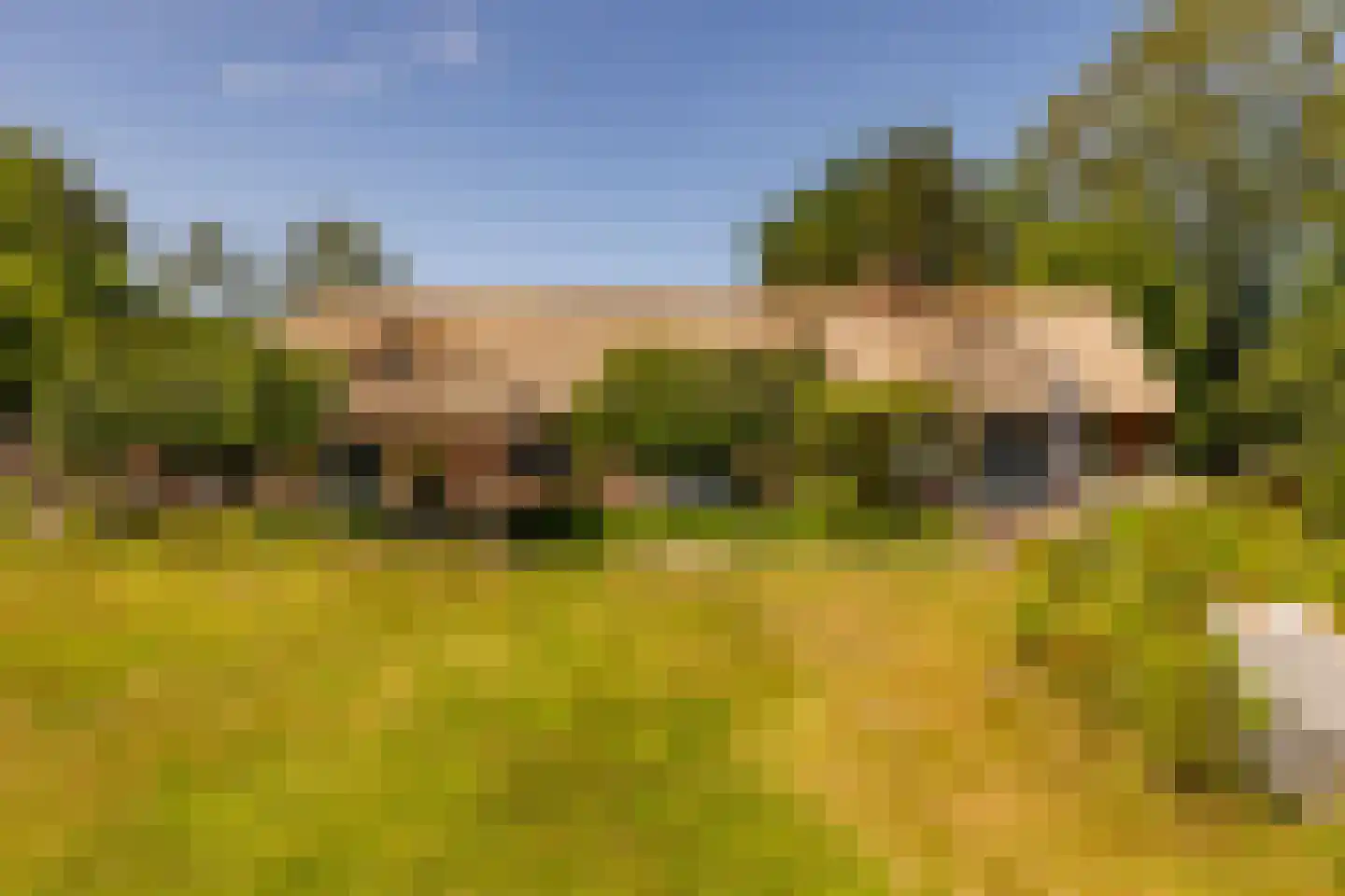 Alteveer 105 Alteveer thumbnail 65
