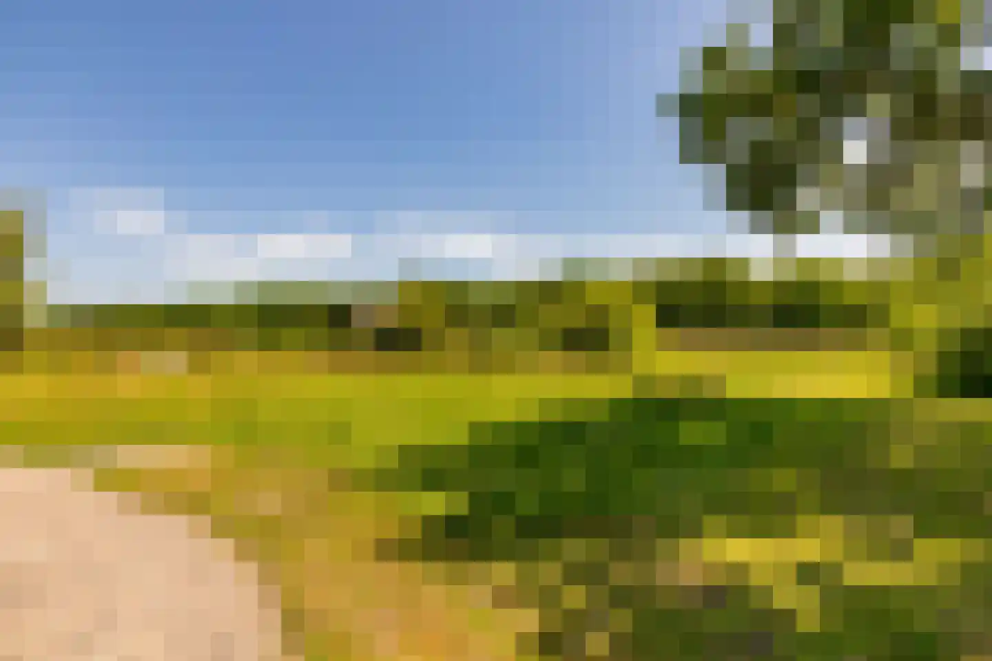 Alteveer 105 Alteveer thumbnail 69