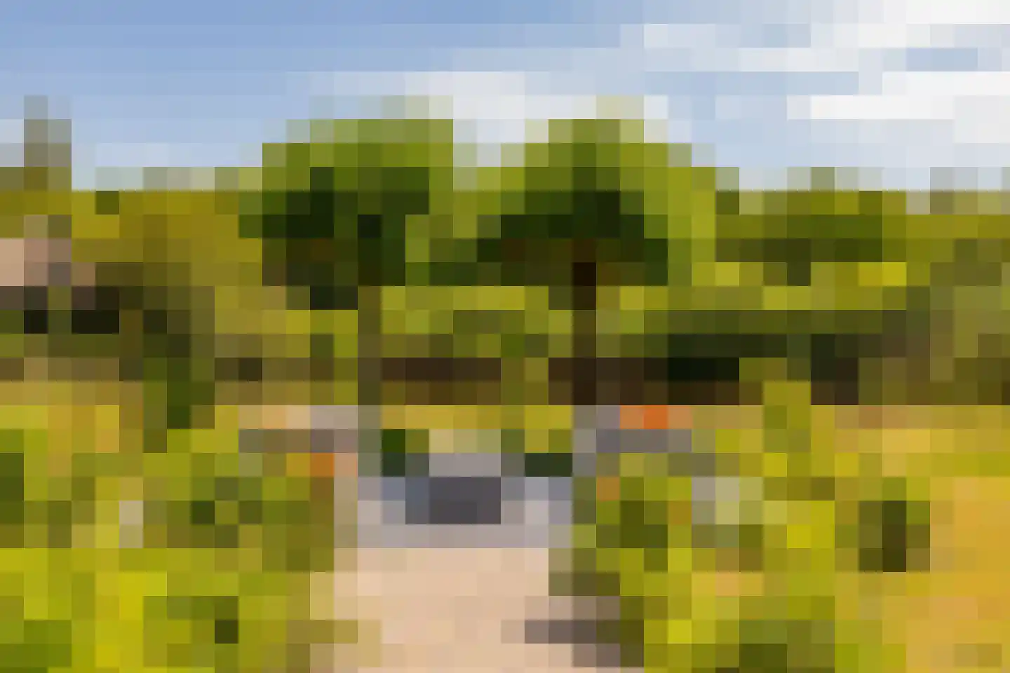 Alteveer 105 Alteveer thumbnail 72