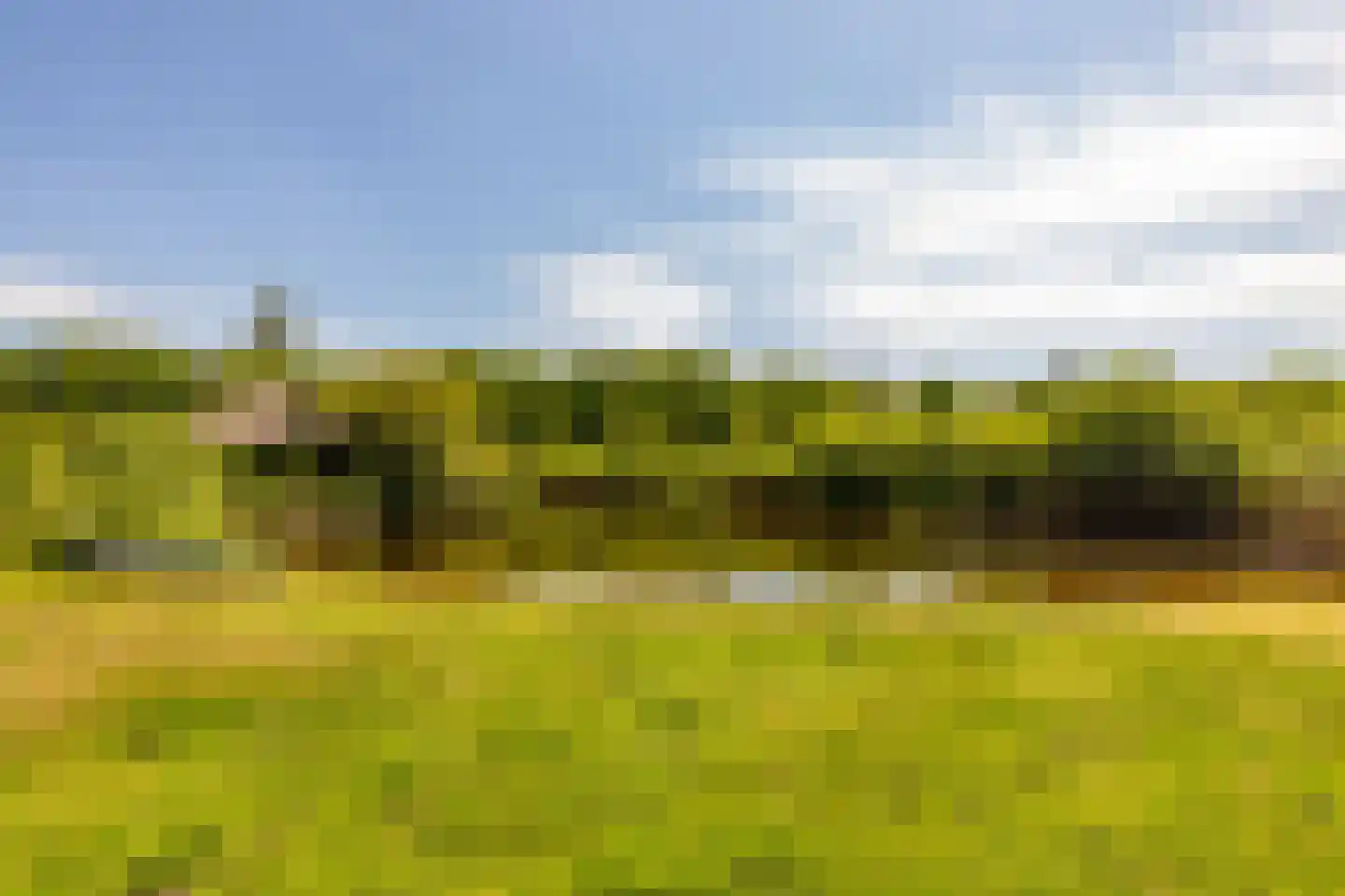 Alteveer 105 Alteveer thumbnail 74