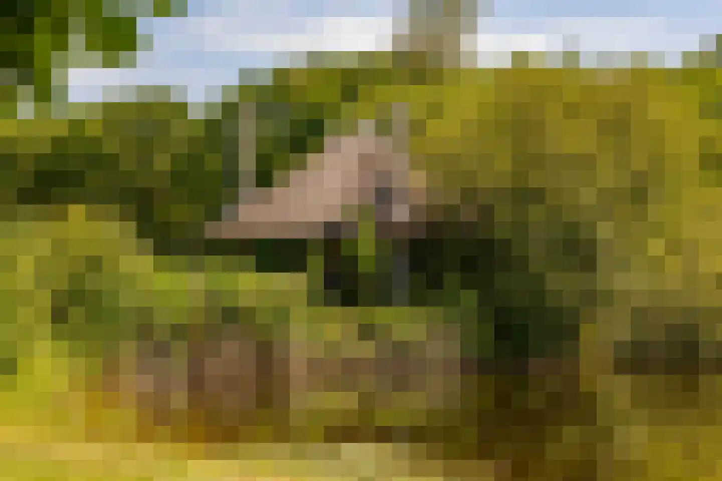 Alteveer 105 Alteveer thumbnail 75