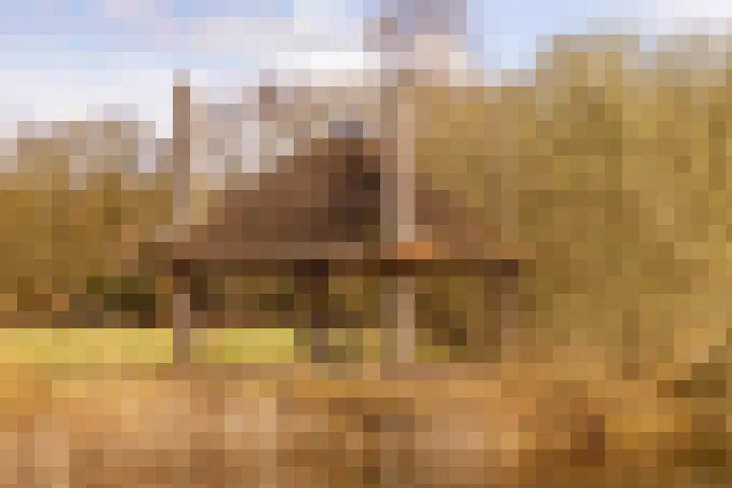 Alteveer 105 Alteveer thumbnail 75