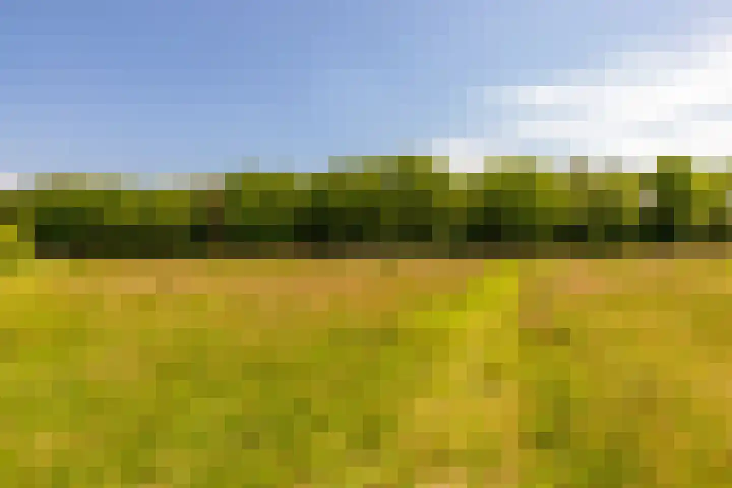 Alteveer 105 Alteveer thumbnail 76
