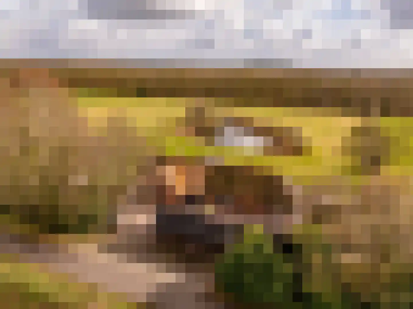 Alteveer 105 Alteveer thumbnail 82