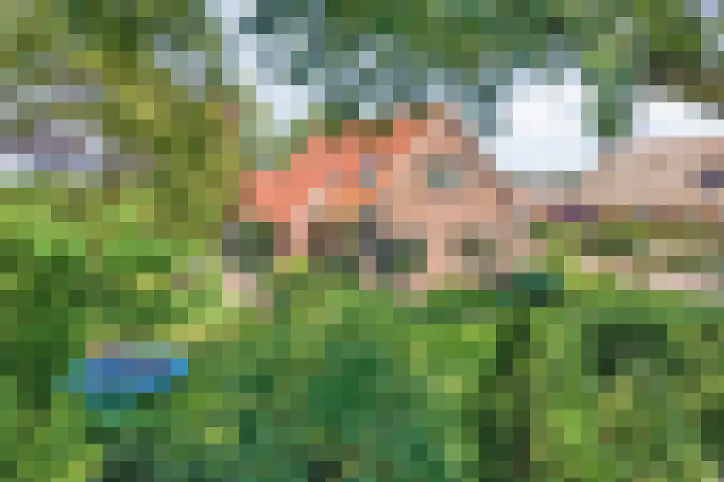 Alteveer 14 Alteveer thumbnail 61