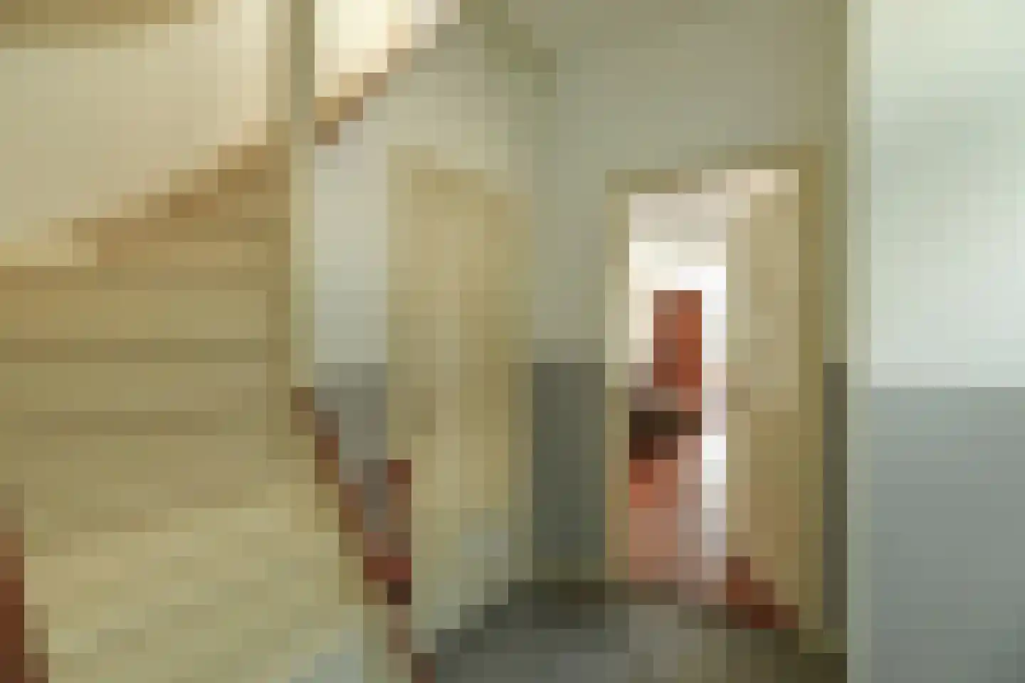 Alteveer 17 e Velp thumbnail 12