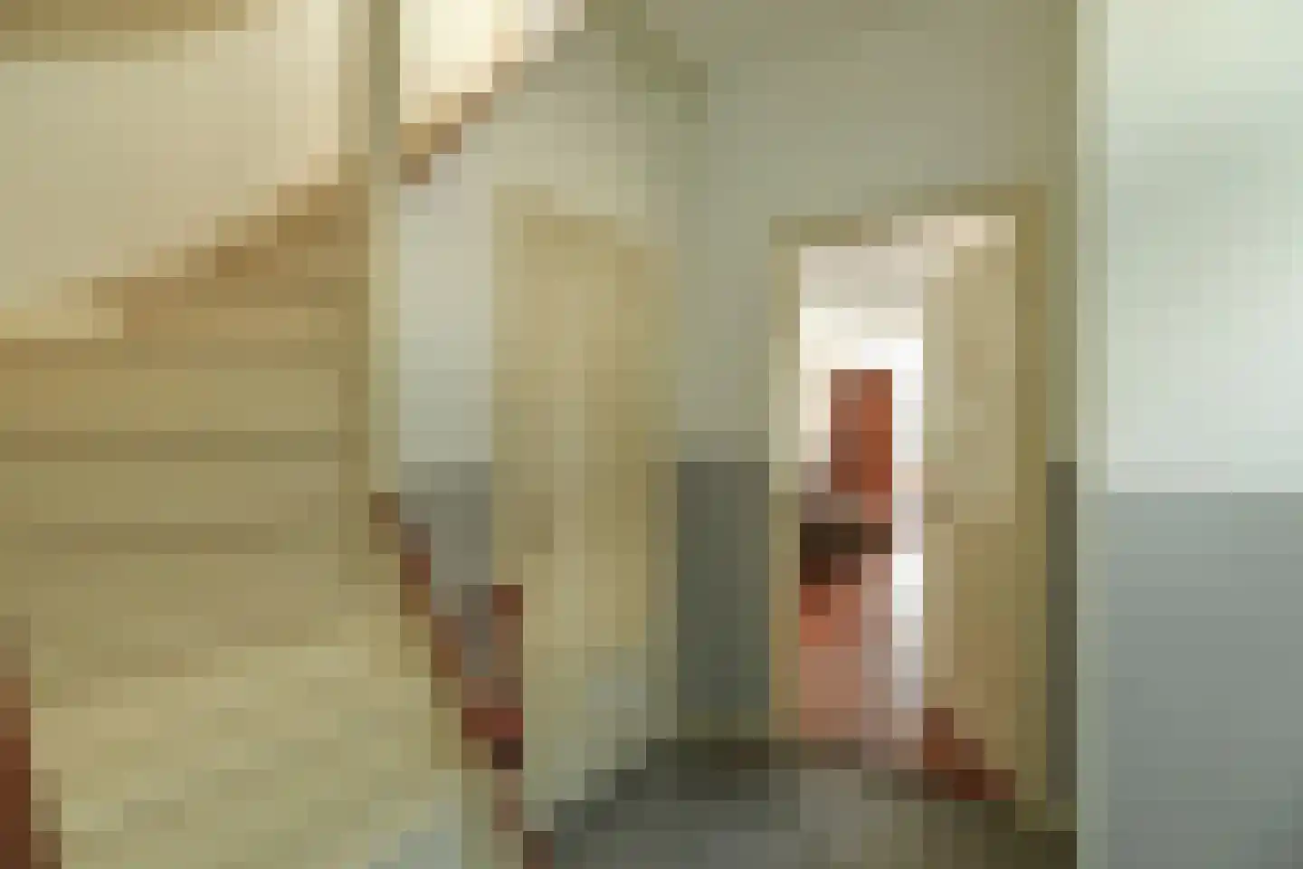 Alteveer 17 e Velp thumbnail 12