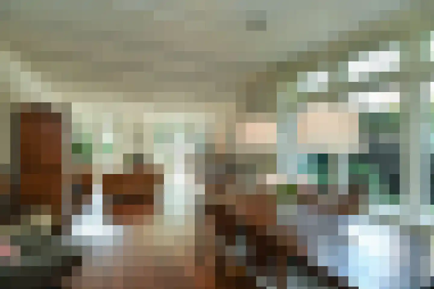 Alteveer 17 e Velp thumbnail 13