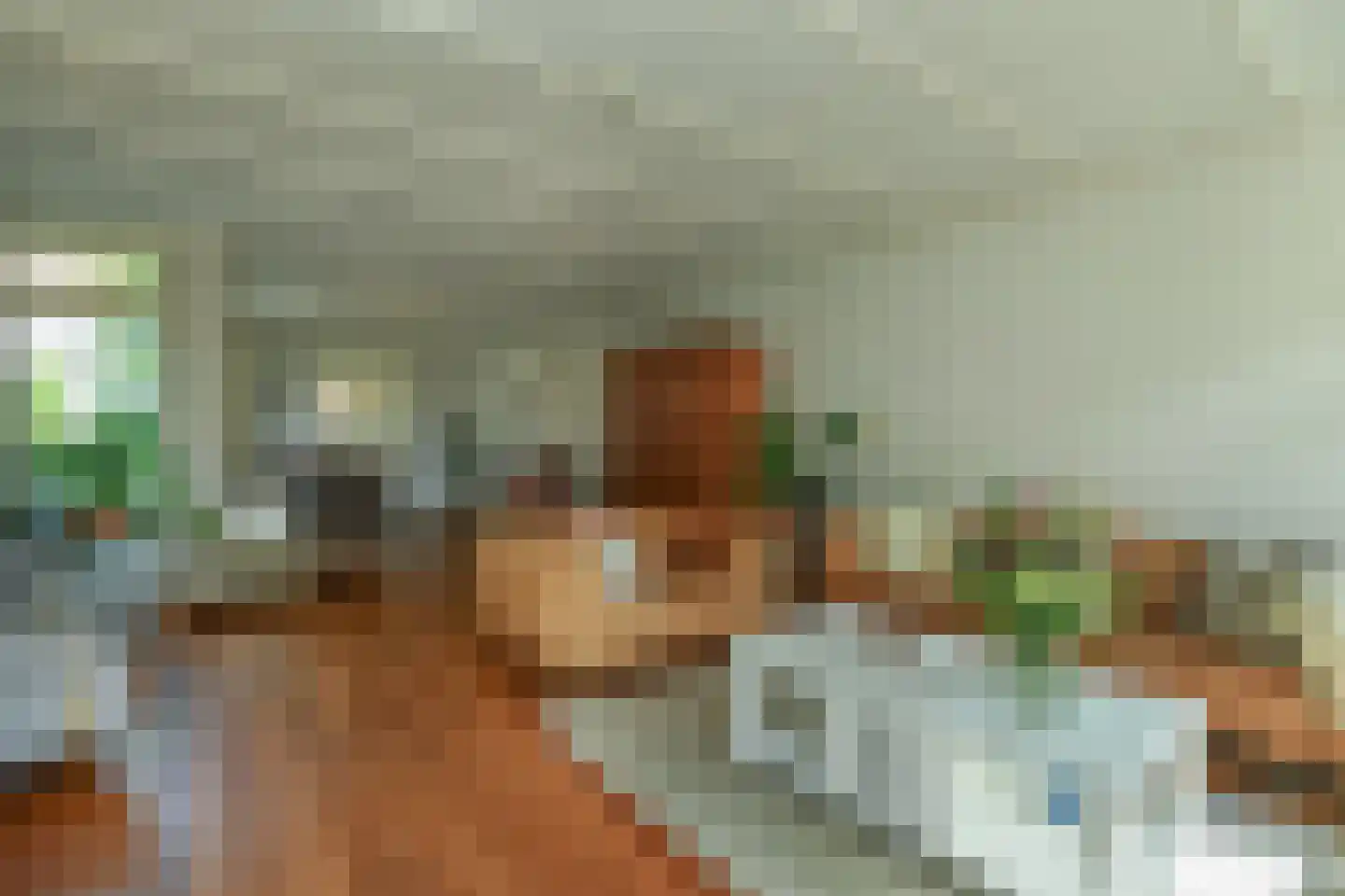 Alteveer 17 e Velp thumbnail 14