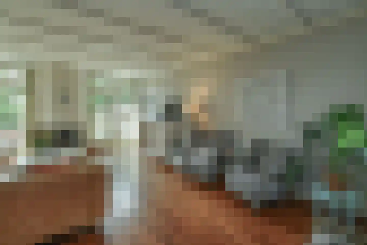 Alteveer 17 e Velp thumbnail 17