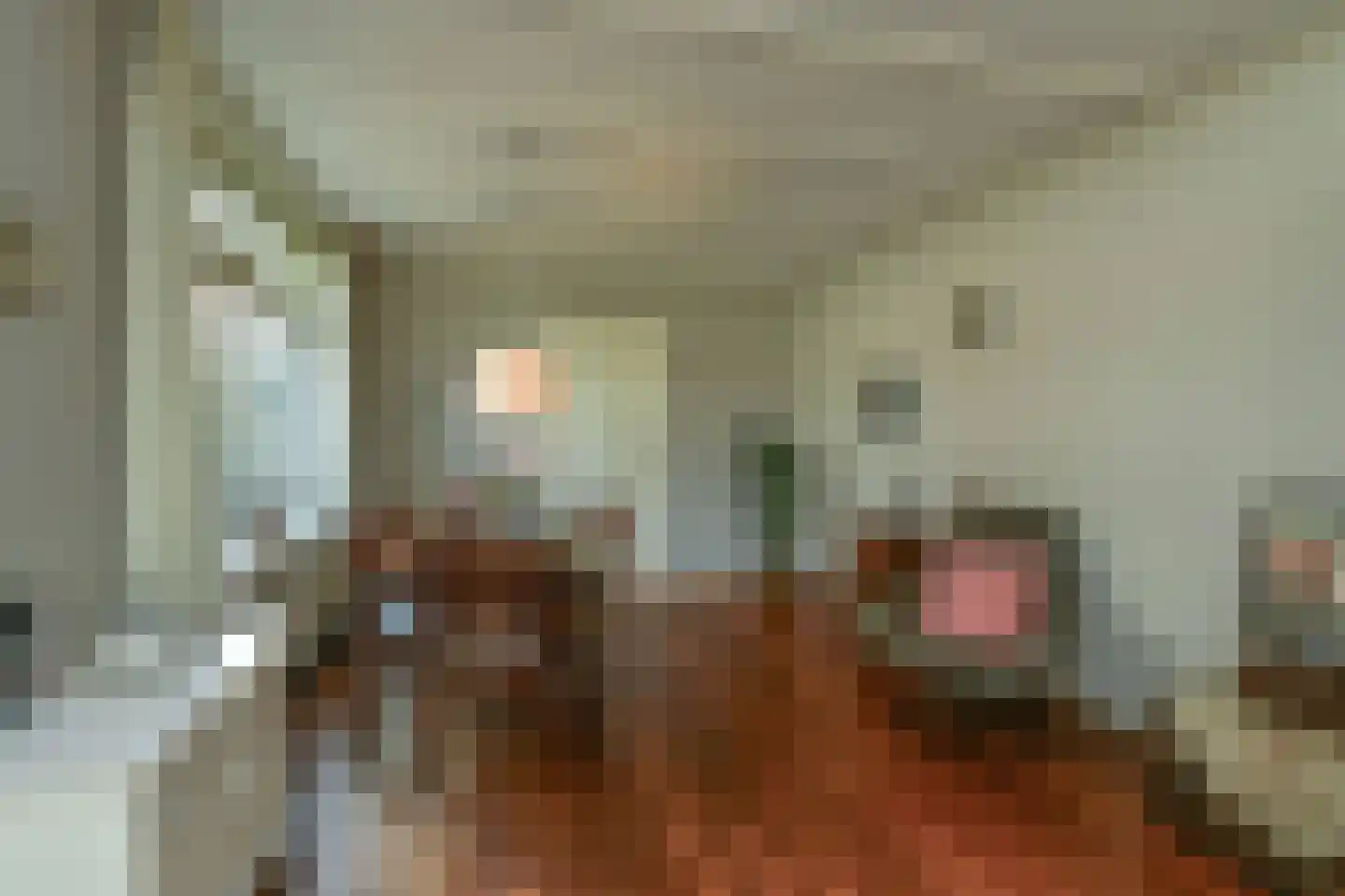 Alteveer 17 e Velp thumbnail 18