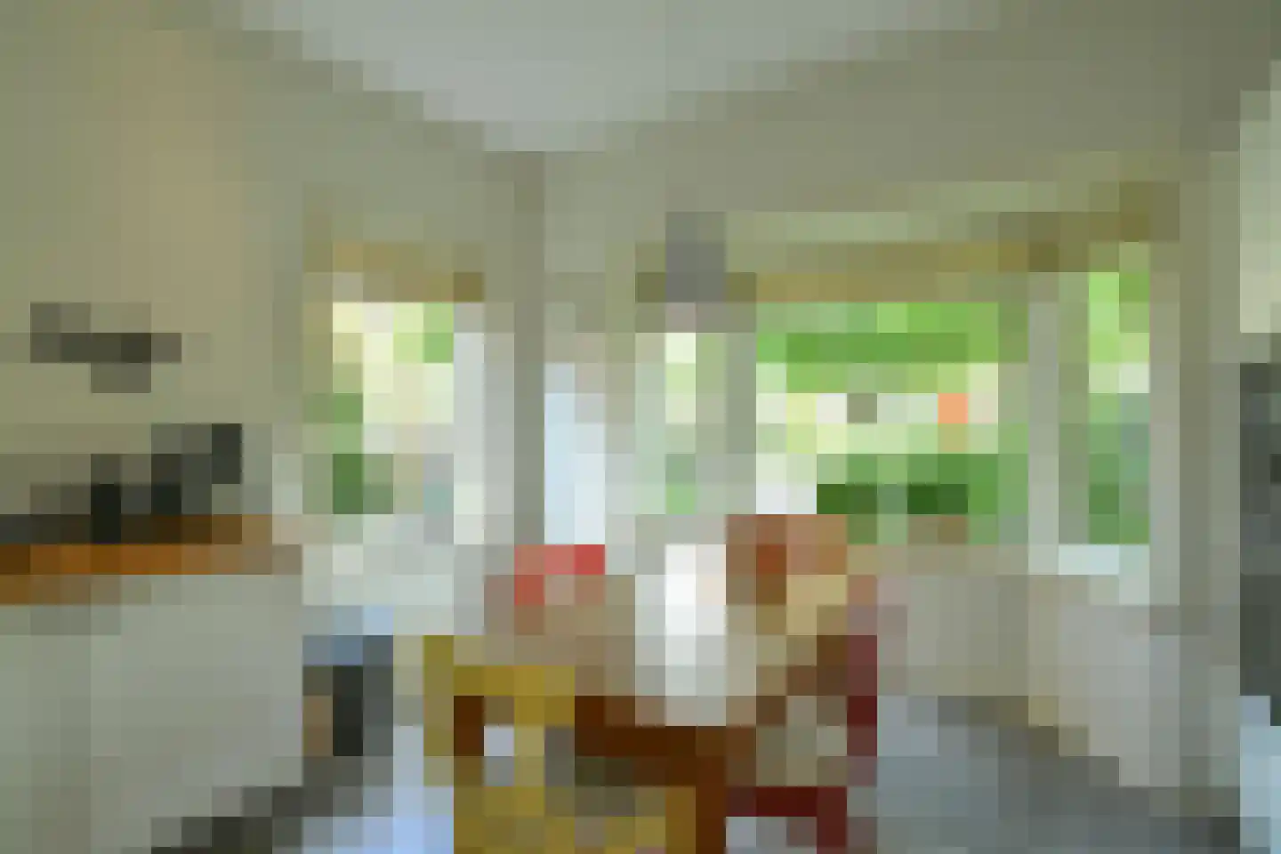 Alteveer 17 e Velp thumbnail 20