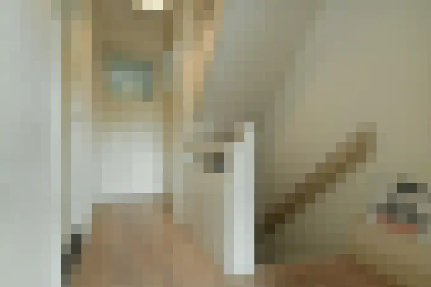 Alteveer 17 e Velp thumbnail 23