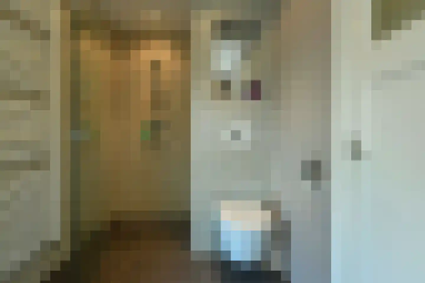 Alteveer 17 e Velp thumbnail 27