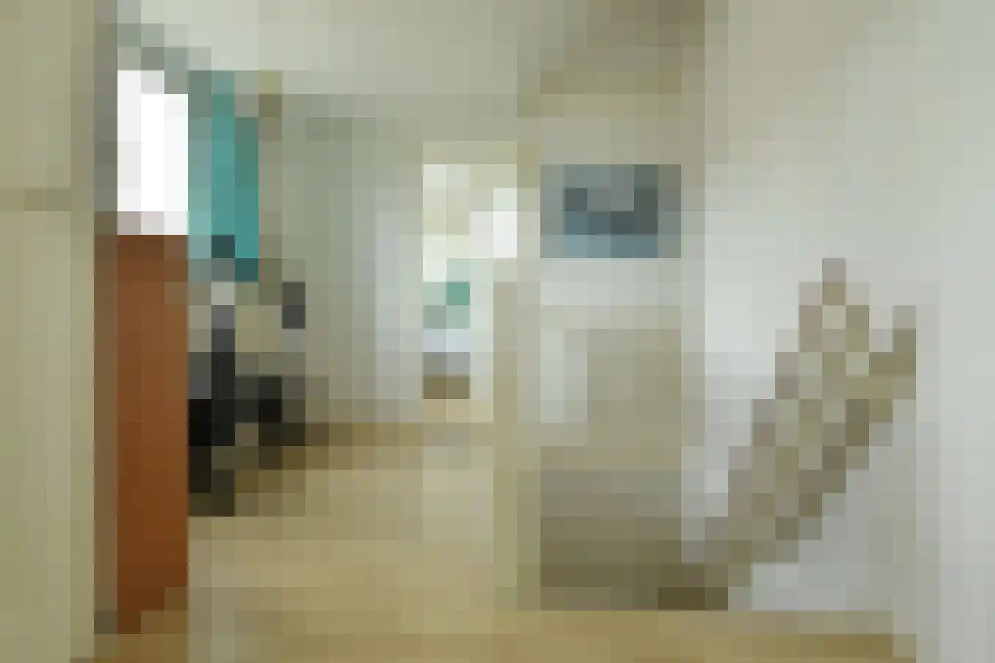 Alteveer 17 e Velp thumbnail 28