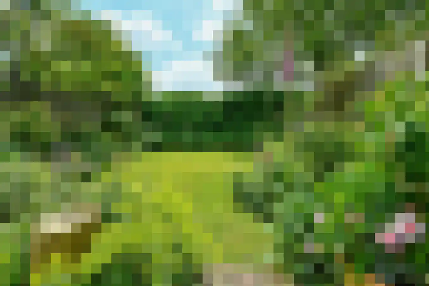 Alteveer 17 e Velp thumbnail 37