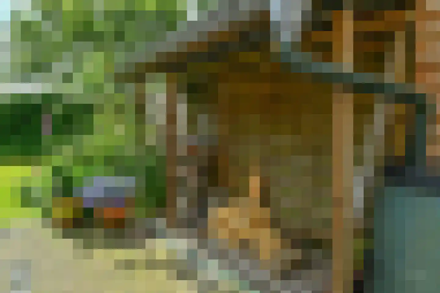 Alteveer 17 e Velp thumbnail 38