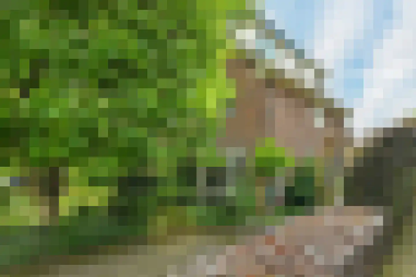 Alteveer 17 e Velp thumbnail 6