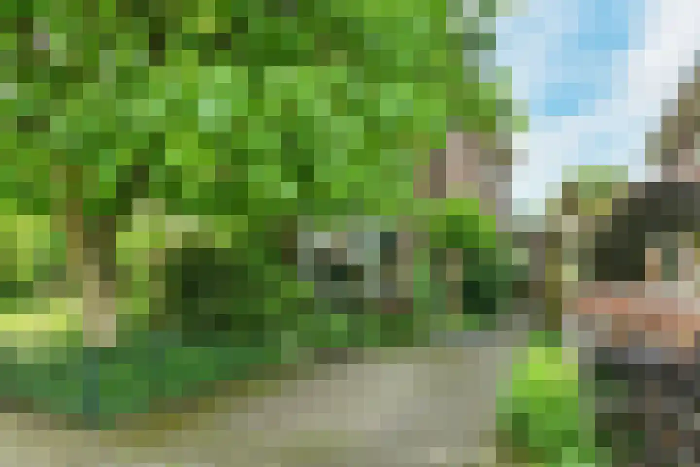 Alteveer 17 e Velp thumbnail 7