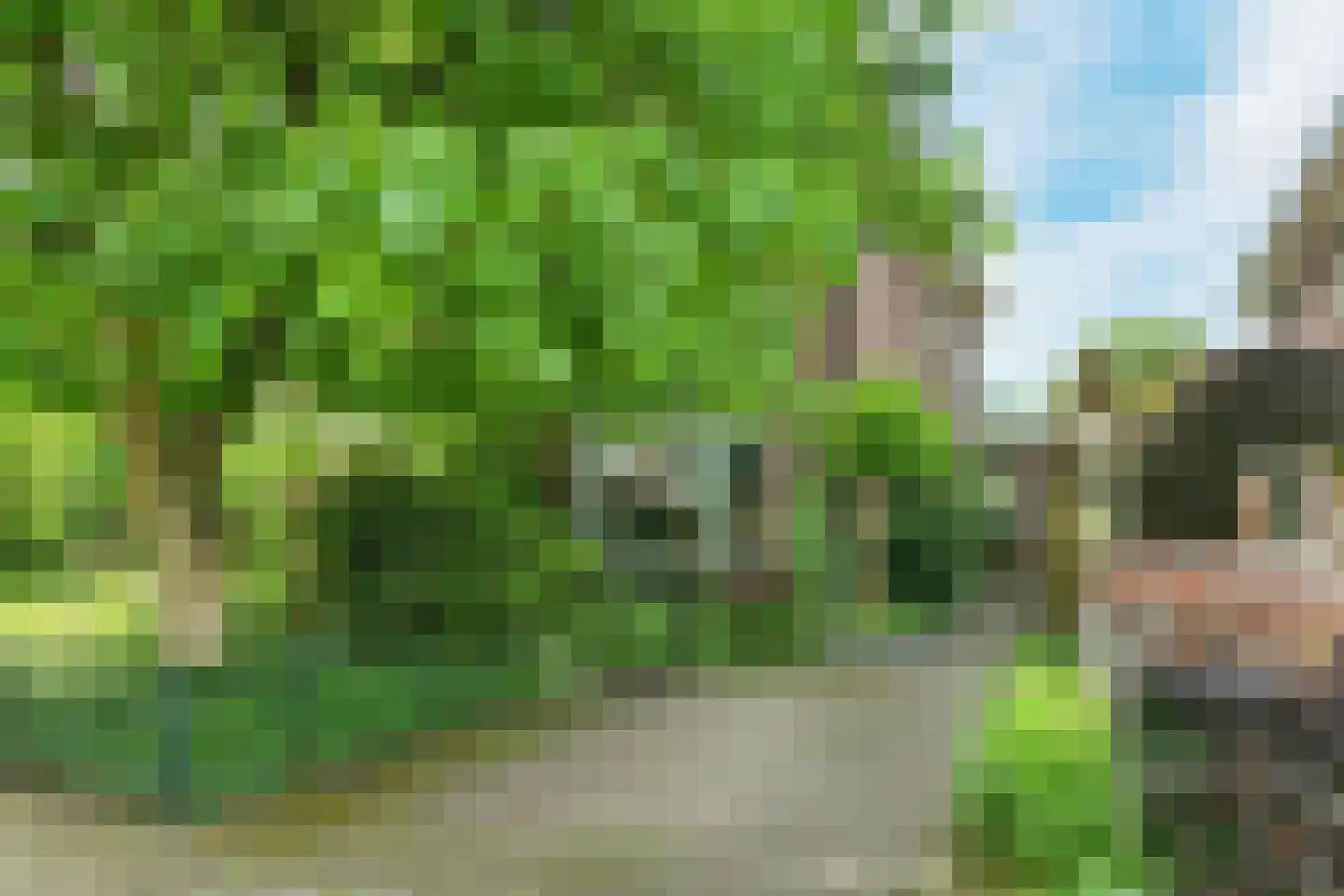 Alteveer 17 e Velp thumbnail 7