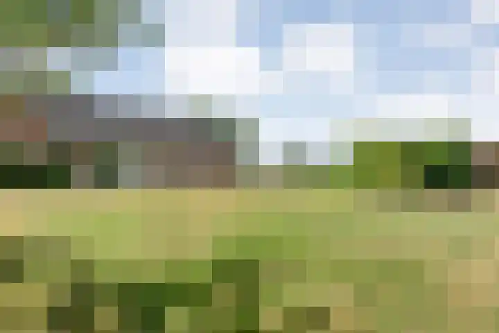 Alteveer 85 Alteveer thumbnail 10