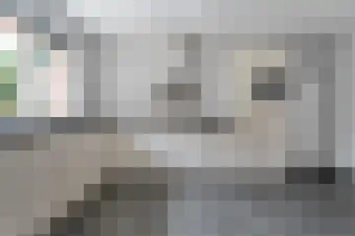 Alteveer 85 Alteveer thumbnail 20