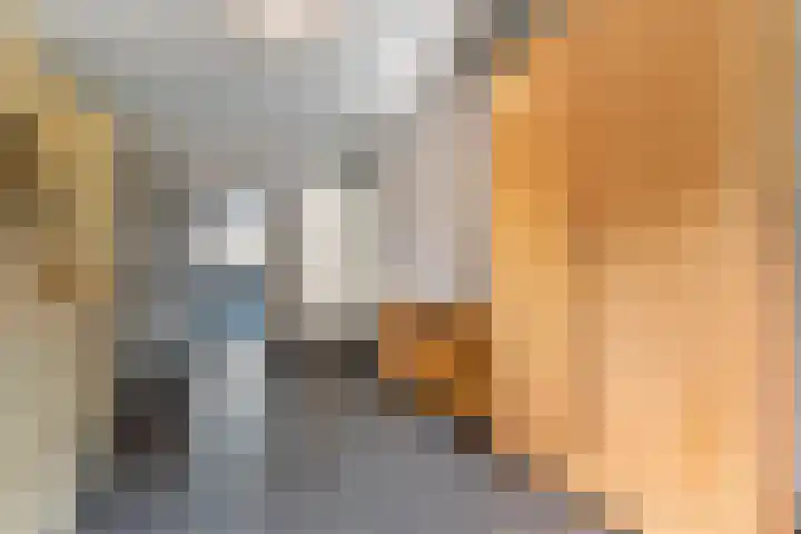 Alteveer 85 Alteveer thumbnail 30