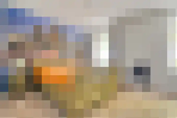 Alteveer 85 Alteveer thumbnail 34