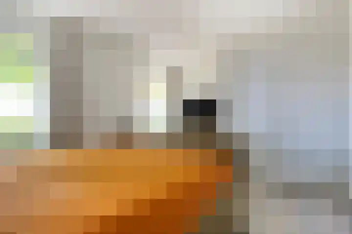 Alteveer 85 Alteveer thumbnail 36