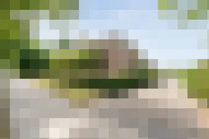 Alteveer 85 Alteveer thumbnail 4