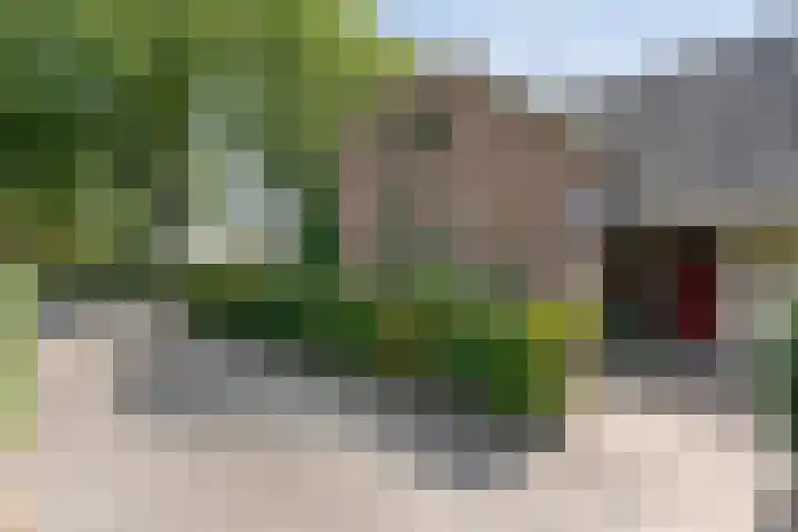 Alteveer 85 Alteveer thumbnail 5