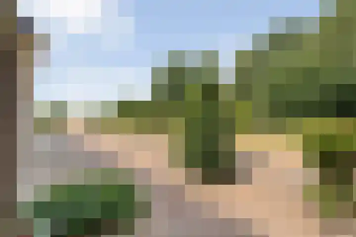 Alteveer 85 Alteveer thumbnail 57