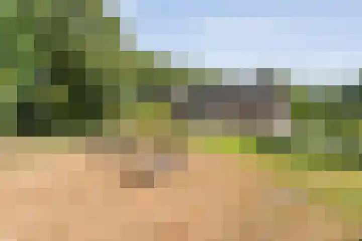 Alteveer 85 Alteveer thumbnail 60