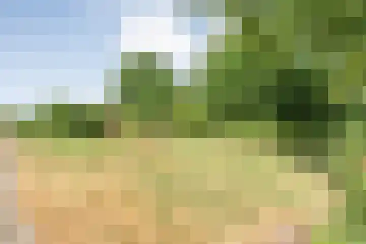 Alteveer 85 Alteveer thumbnail 61