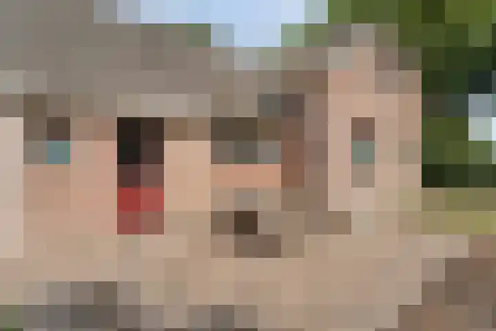 Alteveer 85 Alteveer thumbnail 63