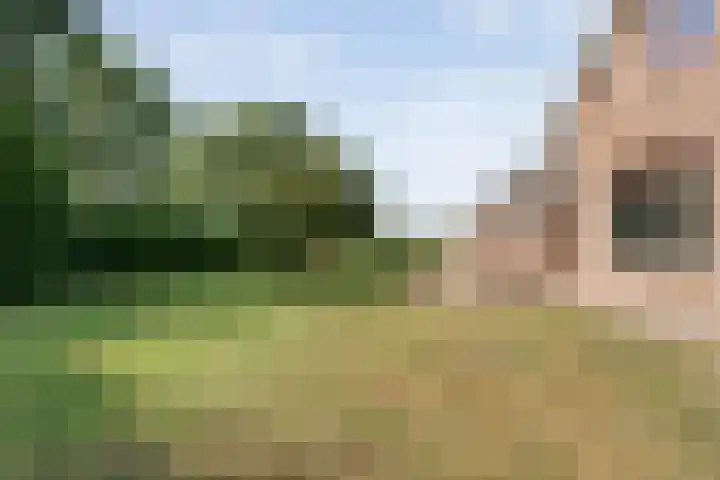 Alteveer 85 Alteveer thumbnail 65