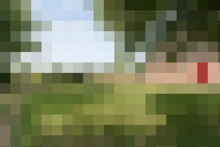 Alteveer 85 Alteveer thumbnail 66