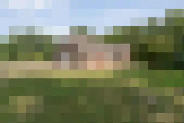Alteveer 85 Alteveer thumbnail 67
