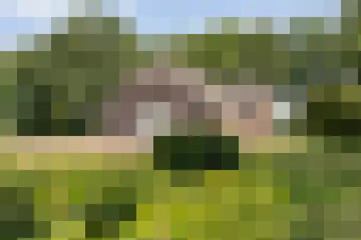 Alteveer 85 Alteveer thumbnail 69