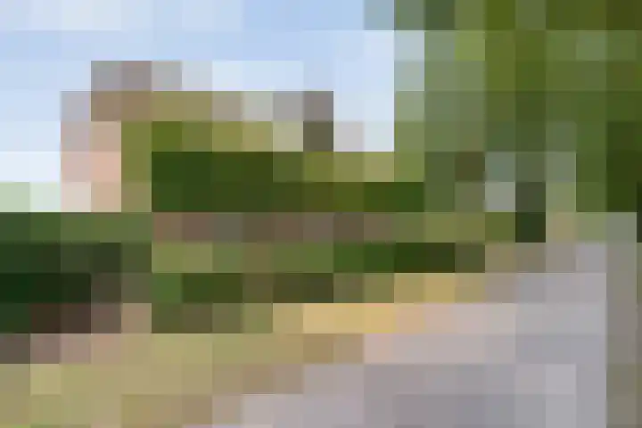 Alteveer 85 Alteveer thumbnail 7