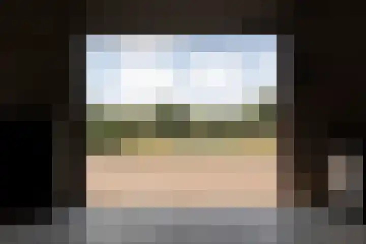Alteveer 85 Alteveer thumbnail 70