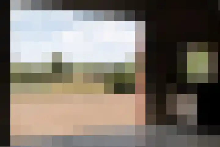 Alteveer 85 Alteveer thumbnail 71