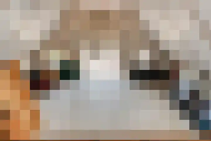 Alteveer 85 Alteveer thumbnail 77