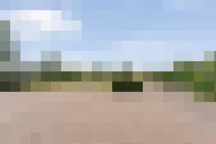 Alteveer 85 Alteveer thumbnail 78