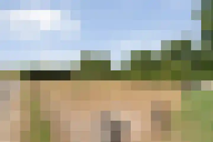 Alteveer 85 Alteveer thumbnail 79