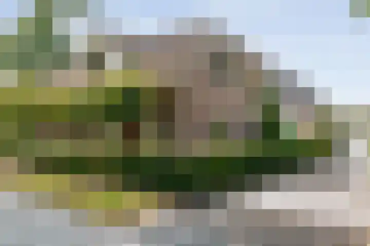Alteveer 85 Alteveer thumbnail 8