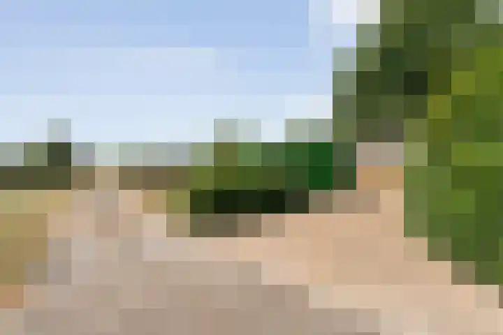 Alteveer 85 Alteveer thumbnail 80