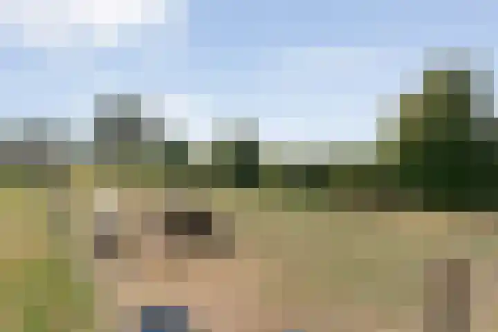 Alteveer 85 Alteveer thumbnail 81