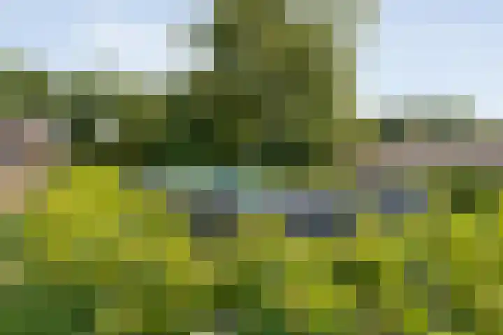 Alteveer 85 Alteveer thumbnail 82
