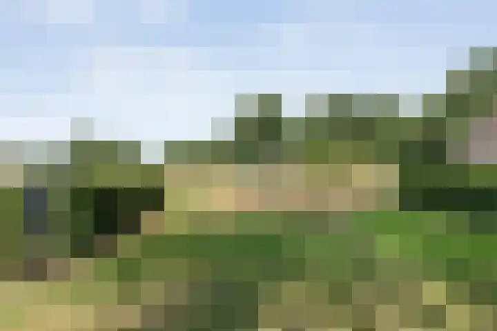 Alteveer 85 Alteveer thumbnail 83